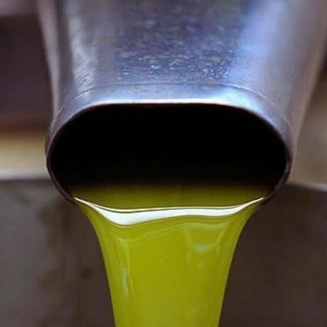 【2025年初搾り‼️】世界一に選ばれたオリーブオイル！ノヴェッロ　750ml送料無料