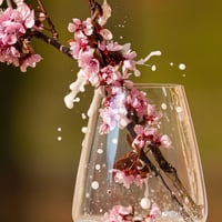 【春の大人気セット🥂】お花見用スパークリング6本セット！　オリジナルロゼスパークリングワイン入り