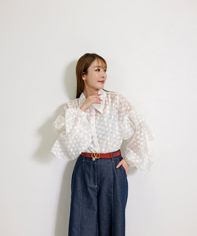 ドット ジャカード オーガンジー フリルスリーブ シアーシャツ CH_hdmn