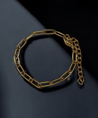 TIGRIS | clip chain bracelet
