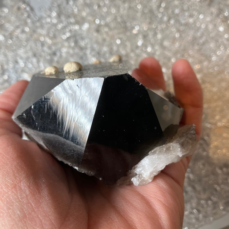 チベット産モリオン | 仲沢商店