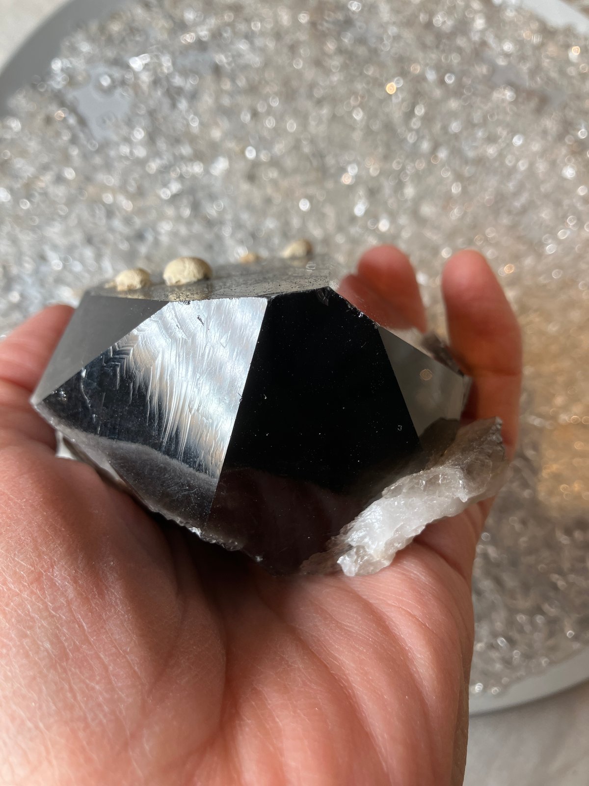 チベット産モリオン | 仲沢商店