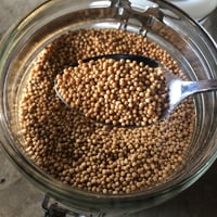 《量》有機イエローマスタードシード30g〜/オーストリア産