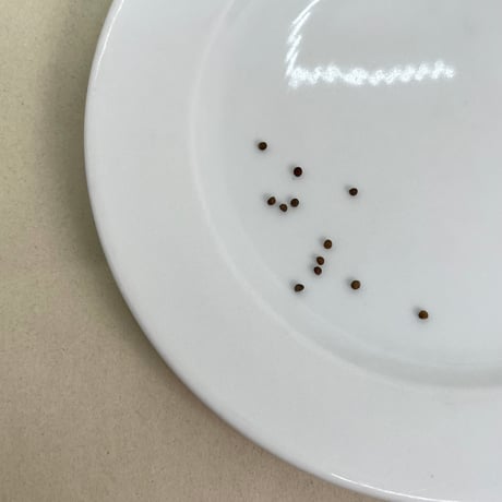 黒えごま種50g