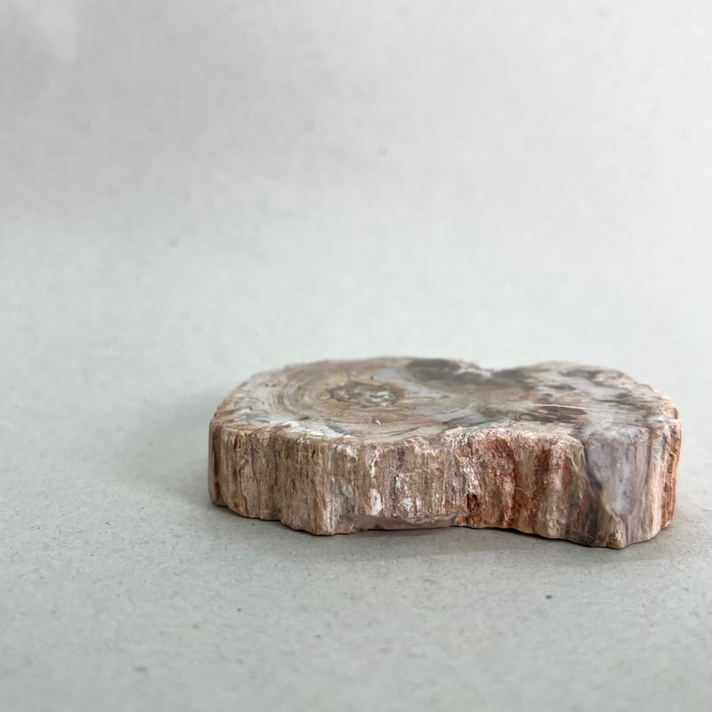 きょん様④1799最終価格☆ペトリファイドウッド　パワーストーン　原石　置物 楽天市場】【希少】【数量限定】ペトリファイドウッド 珪化木 約