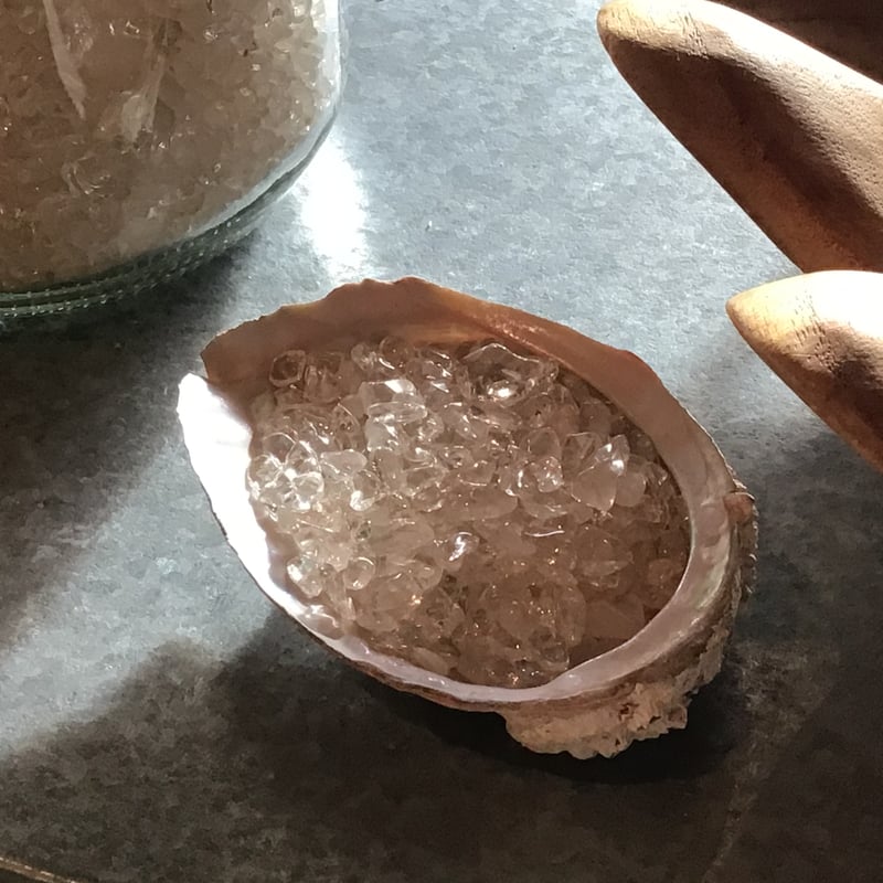 岩田県産 アワビの貝殻(10-12cm) | 仲沢商店