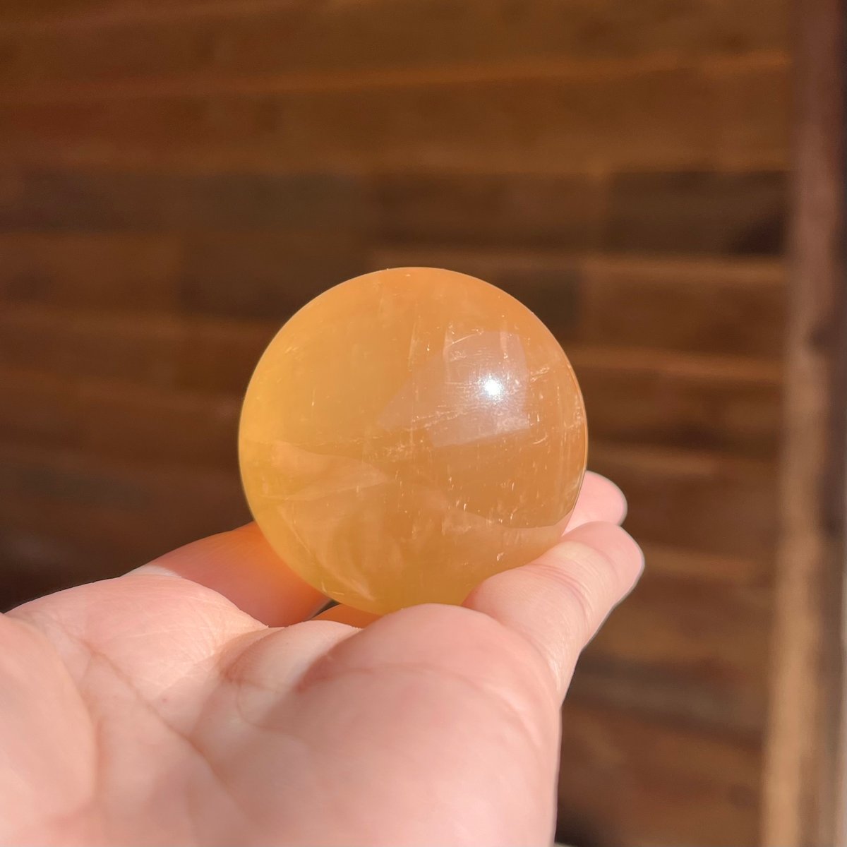 イエローカルサイト大玉 イエローカルサイト スフィア | 仲沢商店