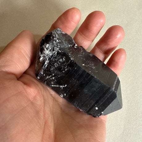 CATEGORY モリオン | 仲沢商店