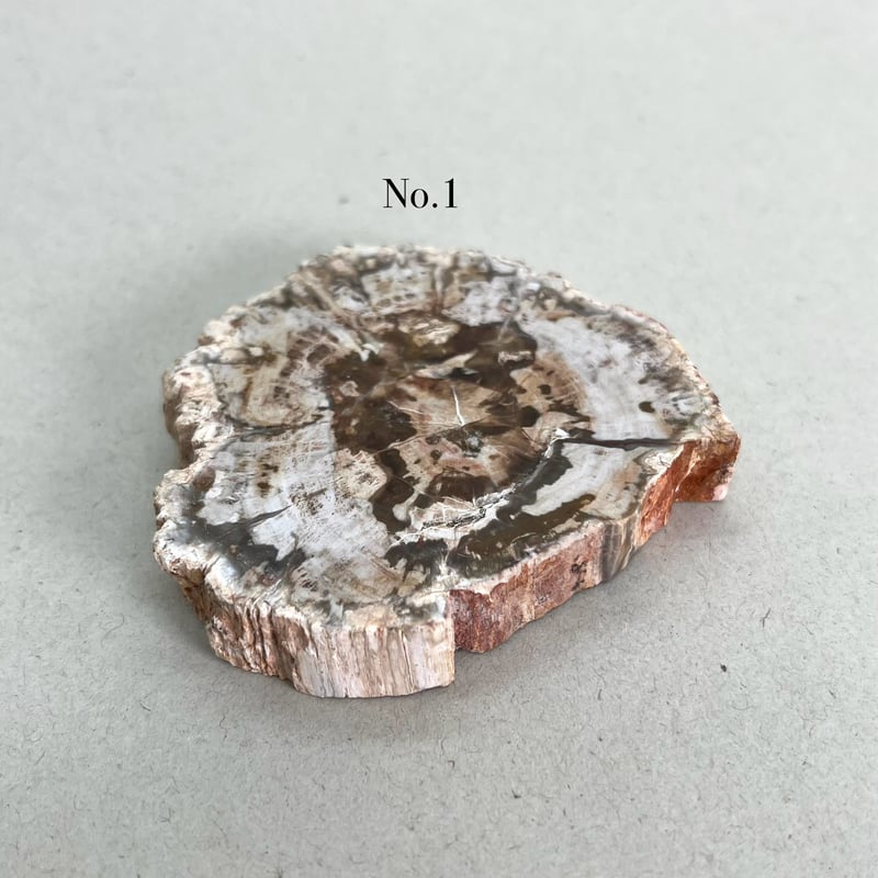 ペトリファイドウッド　ハート♡♡珪化木 No1716 ミルクティーカラー♡♡ ペトリファイドウッド ハート♡♡珪化木 No1716 ミルクティーカラー