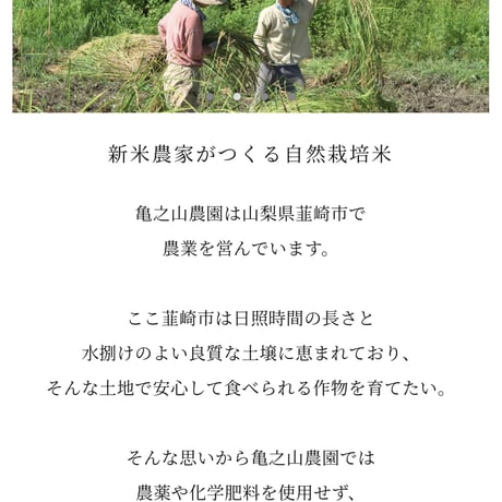 【月末出荷】韮崎市産 新米/ササシグレ•コシヒカリ/マンゲツモチ(もち米)