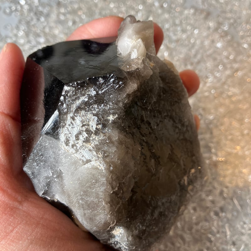 チベット産モリオン | 仲沢商店