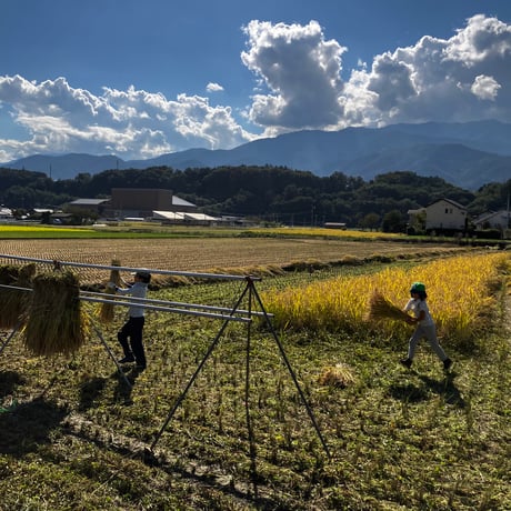 新米！山梨県韮崎市産コシヒカリ種