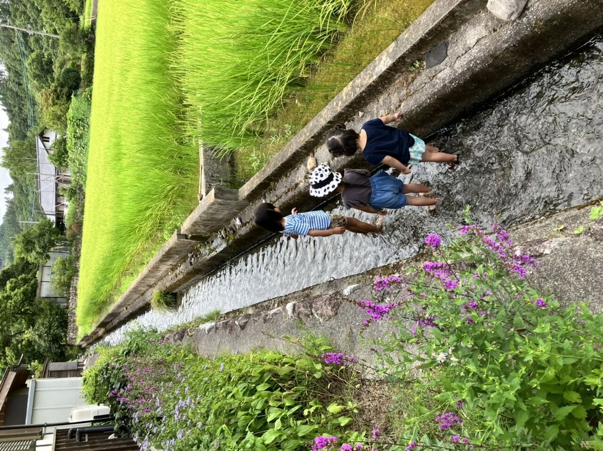 両面使える藍染布ナプ | 仲沢商店