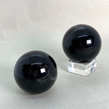 CATEGORY モリオン | 仲沢商店