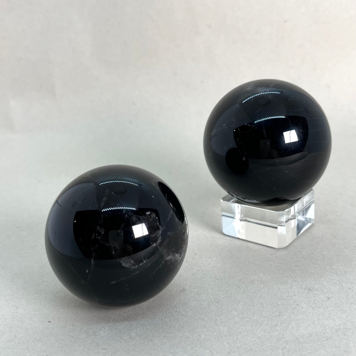 チベット産スターモリオン | 仲沢商店