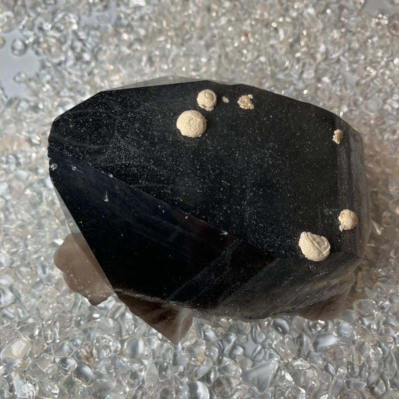 チベット産モリオン 12mm 2本 楽天市場】【祈願済】本物チベット産モリオン（黒水晶）12mm