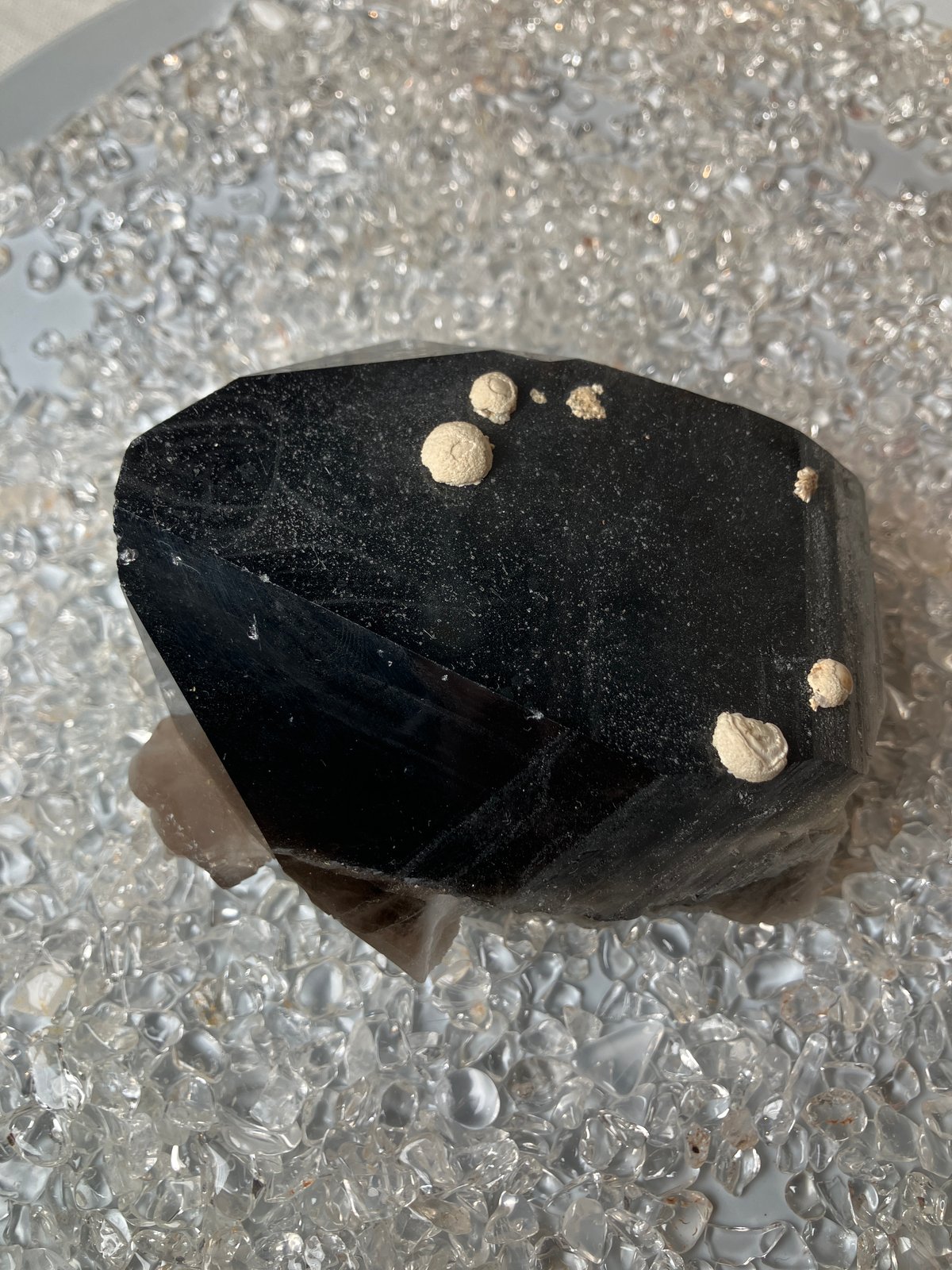 チベット産モリオン | 仲沢商店