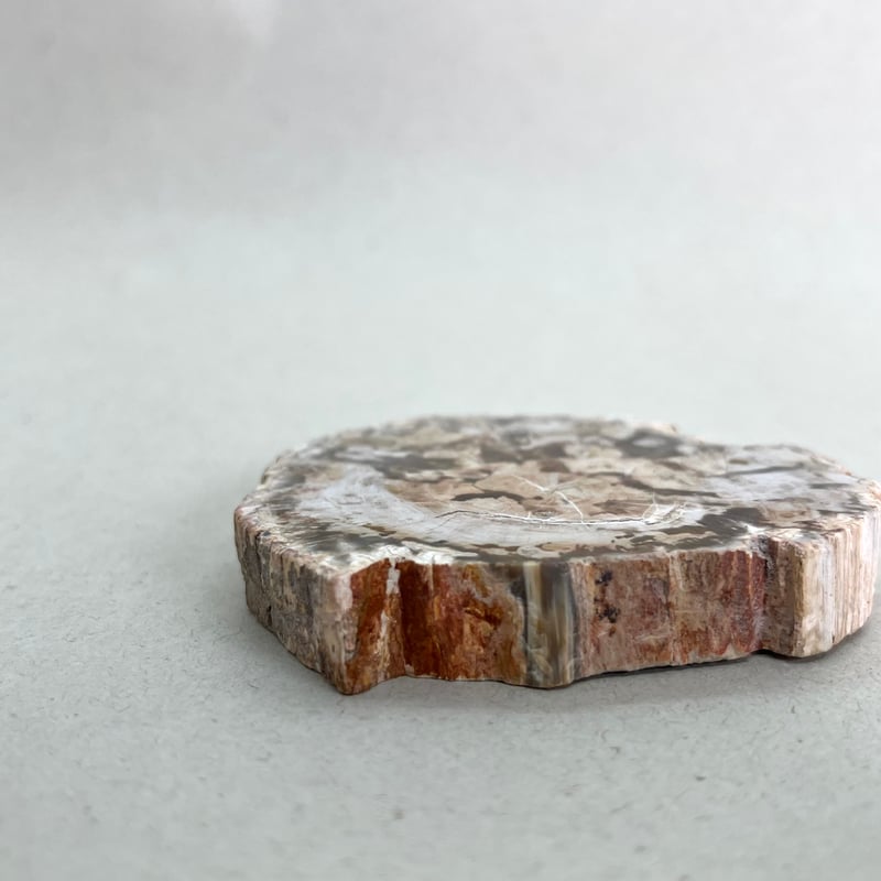 Mi様　3点おまとめ　台座　メキシコ瑪瑙フレイム　ペトリファイドウッド ペトリファイドウッド プレート | プレート | Crystals by Purely