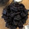 《量》有機プルーン100g～/アメリカ産