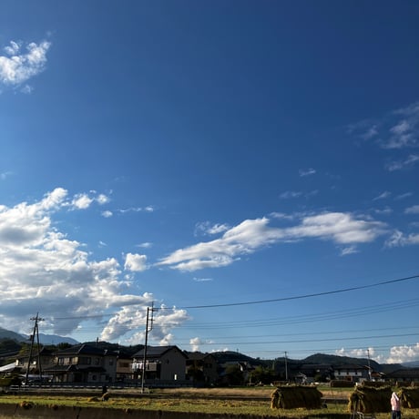 新米！山梨県韮崎市産コシヒカリ種