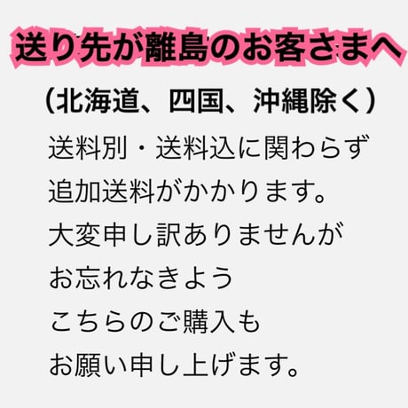 離島へ発送は追加送料が発生します🙇‍♀️
