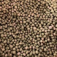 《量》青大豆100g〜/北海道産