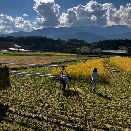 新米！山梨県韮崎市産コシヒカリ種