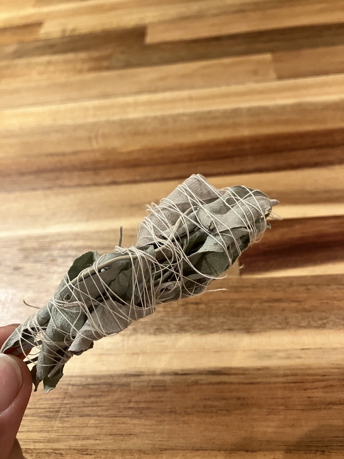 乾燥セージ【75gほど】 量》乾燥ホワイトセージ5g～/山梨県産 | 仲沢商店