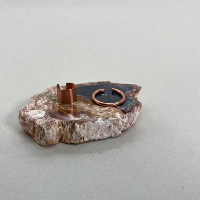 ペトリファイドウッド1個 | 仲沢商店