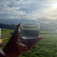【量】夏夜の茶10g