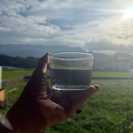 【量】夏夜の茶10g