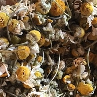 《量》カモミールティー10g～/エジプト産