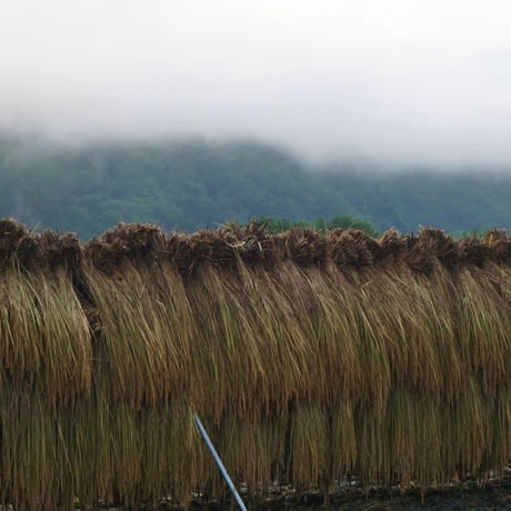 【月末出荷】韮崎市産 新米/ササシグレ•コシヒカリ/マンゲツモチ(もち米)