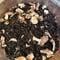 《量》有機生姜紅茶50g～