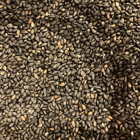 《量》有機炒り黒or白ゴマ50g～