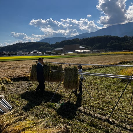 新米！山梨県韮崎市産コシヒカリ種