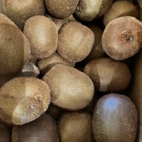 《量》自然栽培キウイ500g〜
