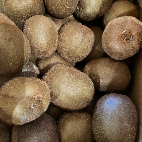 《量》自然栽培キウイ500g〜