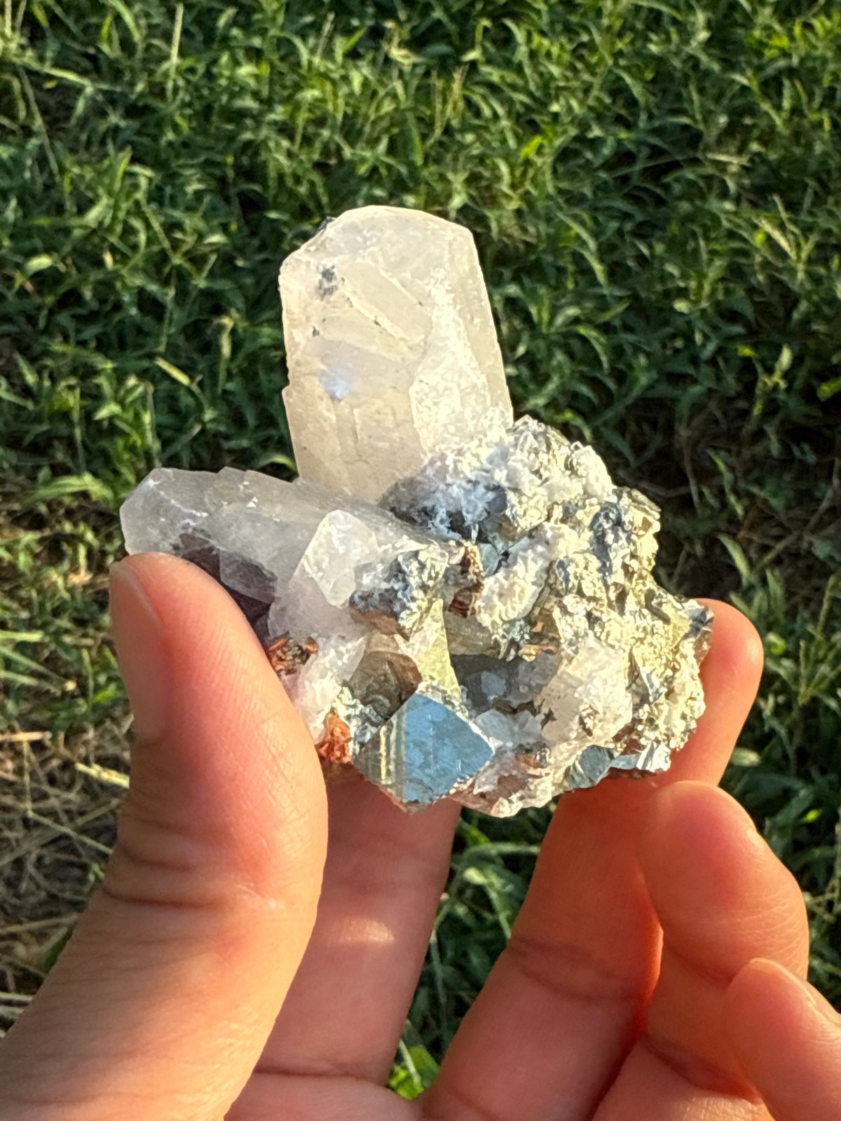 パイライト共生クォーツクラスター1 | 仲沢商店