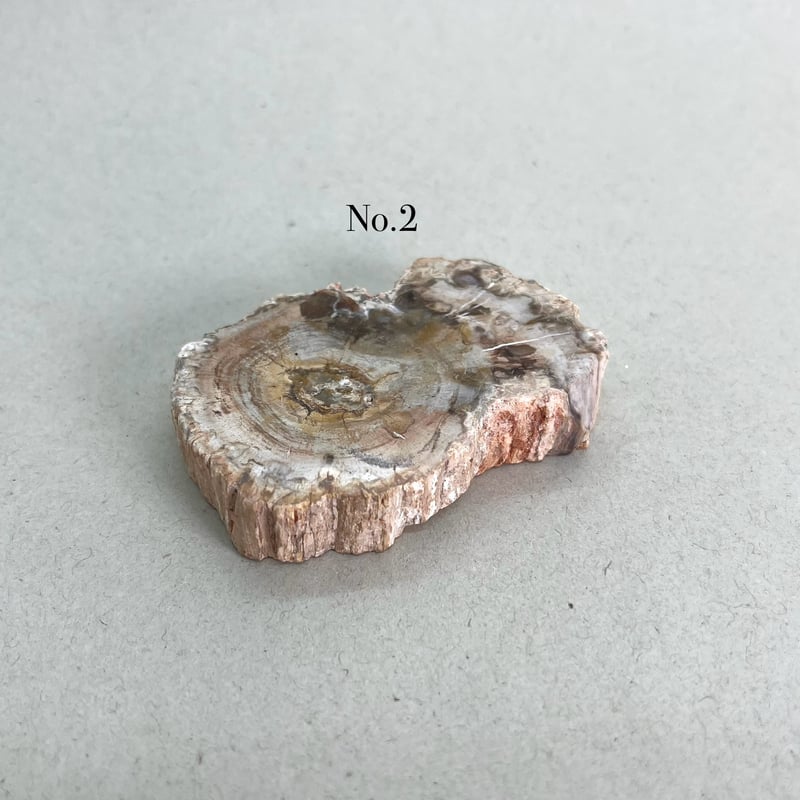 ペトリファイドウッド　ハート♡♡珪化木 No1716 ミルクティーカラー♡♡ ペトリファイドウッド1個 | 仲沢商店
