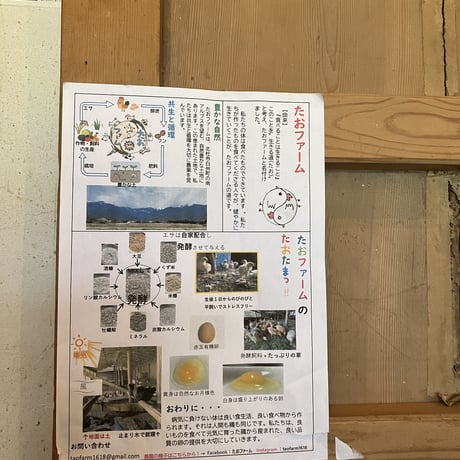 【毎週金土発送！】＼数量限定／平飼い有精卵たおたまッ‼︎