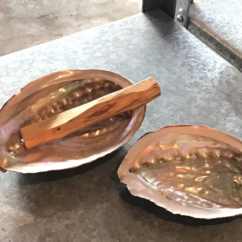 あわび　貝殻　約18×13㎝ 61iCDMgel6L._AC_UF350,