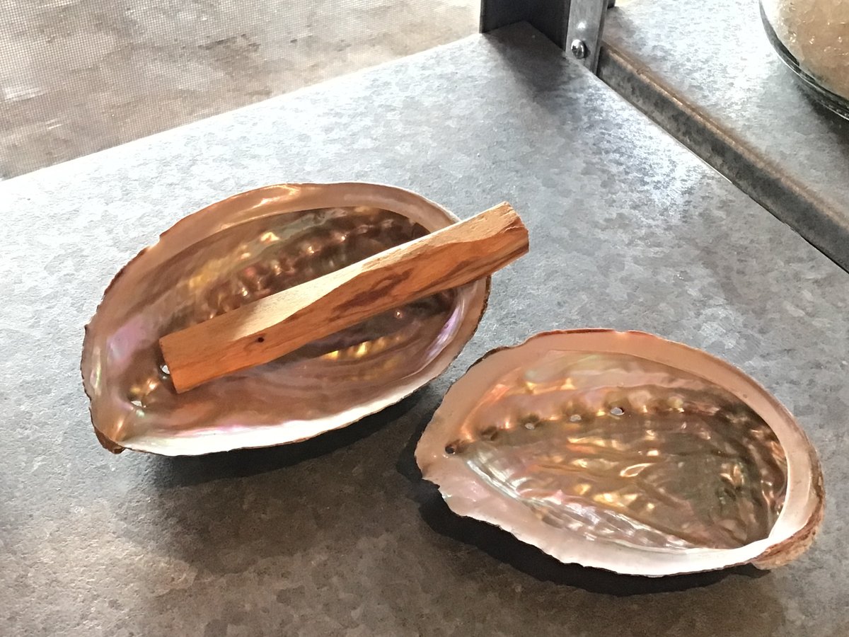 岩田県産 アワビの貝殻(10-12cm) | 仲沢商店