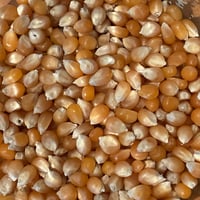《量》ポップコーン100g〜/アメリカ産