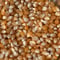 《量》ポップコーン100g〜/アメリカ産