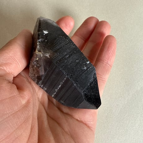 CATEGORY モリオン | 仲沢商店