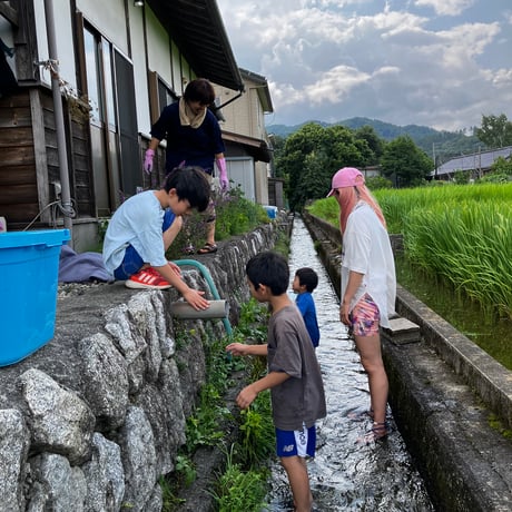 藍の生葉染めワークショップ
