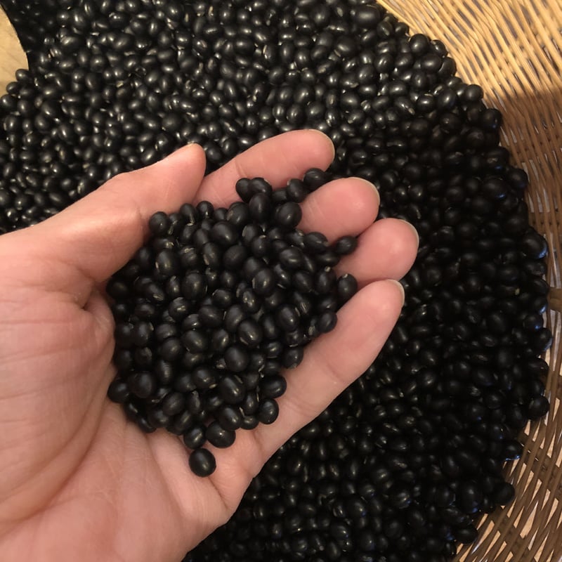 黒大豆ページ 量》黒千石大豆100g〜 | 仲沢商店