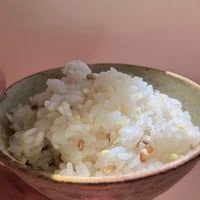 《量》仲沢家のオリジナル雑穀MIX100g〜