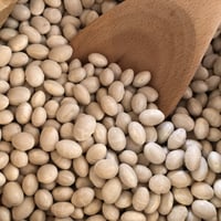 《量》白インゲン豆100g〜/北海道産